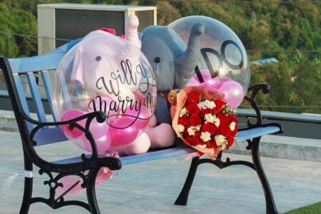 The man propose a lady with elephants, flowers, and balloons