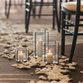 Arlene Chambers Photography