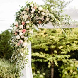 Ciccarelli Photography