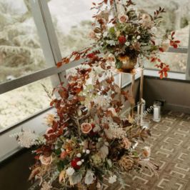 Wild & Free Photography