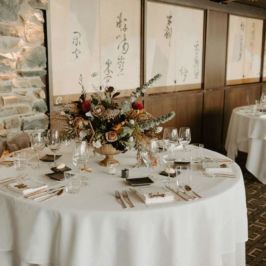 Wild & Free Photography