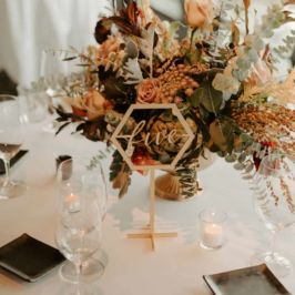 Wild & Free Photography