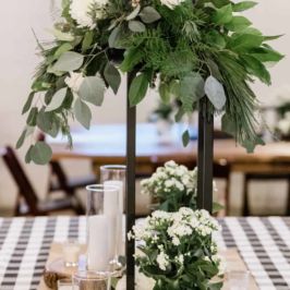 Taira Marie Photography