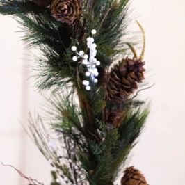 Taira Marie Photography